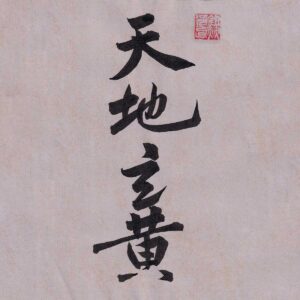 Four Chinese characters Tian Di Xuan Huang written in vertical semi-cursive script calligraphy on warm muted gray-pink textured paper with a red seal stamp.