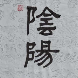 Two Chinese characters Yin Yang rendered in bold clerical script calligraphy on a pale cool-gray paper background with delicate traditional water wave patterns and a red seal.