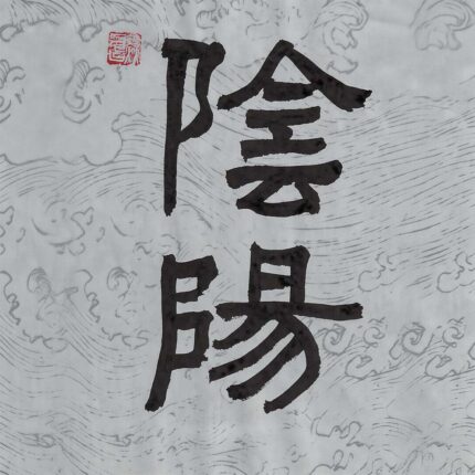 Two Chinese characters Yin Yang rendered in bold clerical script calligraphy on a pale cool-gray paper background with delicate traditional water wave patterns and a red seal.