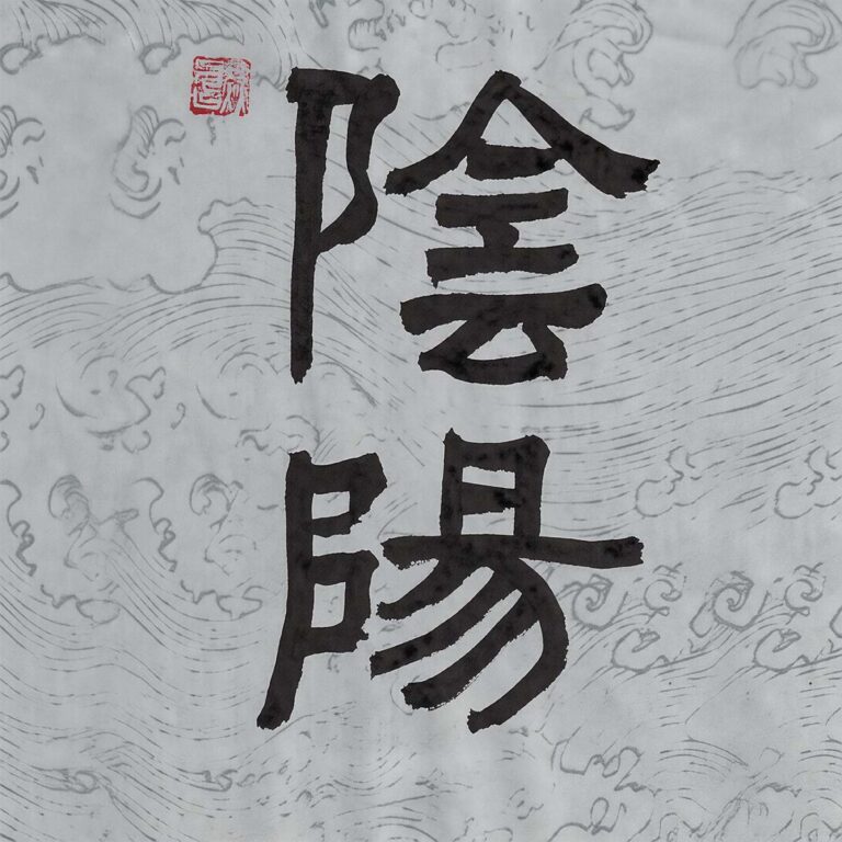 Two Chinese characters Yin Yang rendered in bold clerical script calligraphy on a pale cool-gray paper background with delicate traditional water wave patterns and a red seal.