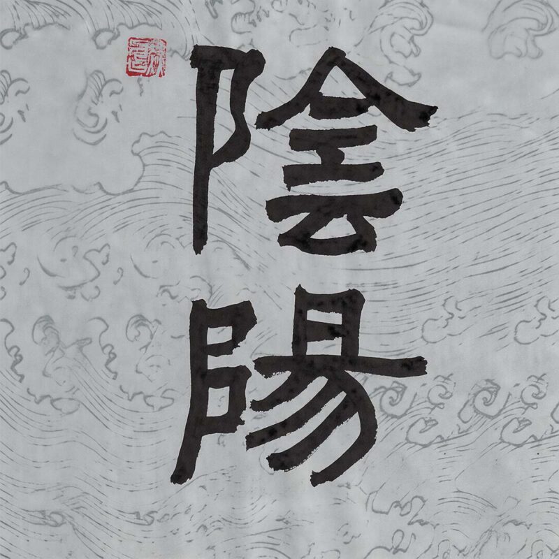 Two Chinese characters Yin Yang rendered in bold clerical script calligraphy on a pale cool-gray paper background with delicate traditional water wave patterns and a red seal.