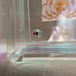 Close-up of magnetic corner screw on rainbow iridescent translucent acrylic display block.